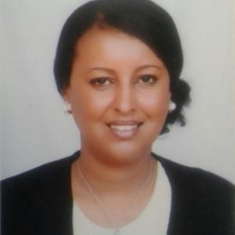 Profile headshot photo of Yodit Shibru.