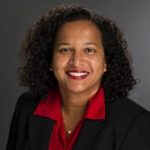Profile headshot photo of R. Mithu Dey, CPA, MBA, PhD.