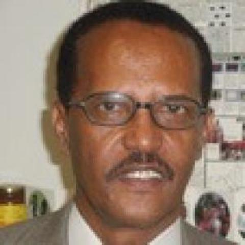 Profile headshot photo of Alem Hailu.