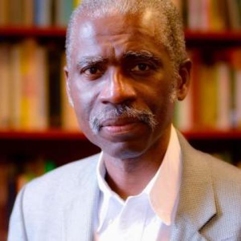 Profile headshot photo of Oladapo Bakare.