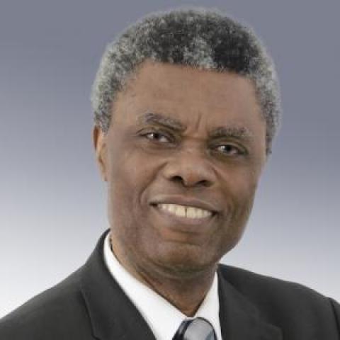 Profile headshot photo of L Jide  Iwarere.