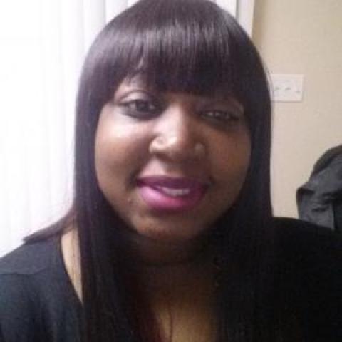 Profile headshot photo of Oluwadamilola Adeboyeku.