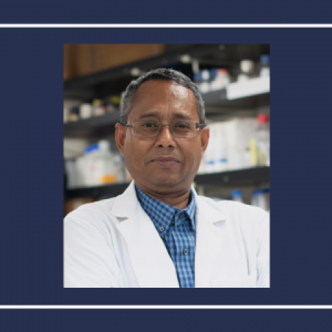 Profile headshot photo of Somiranjan Ghosh, PHD.