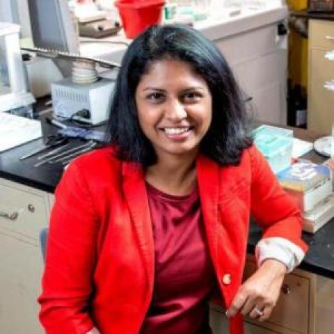 Profile headshot photo of Preethi L Chandran.