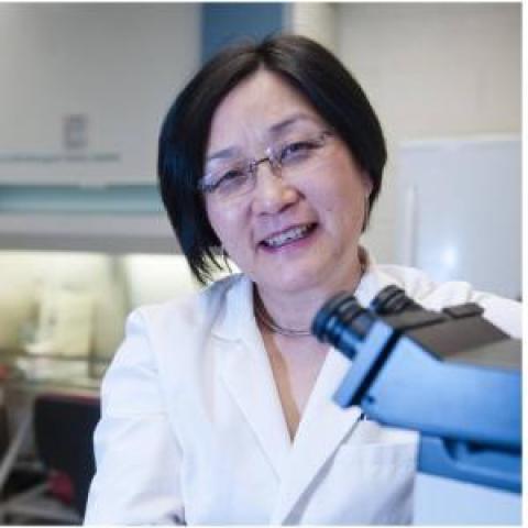 Profile headshot photo of Xinbin Gu.