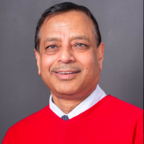 Profile headshot photo of Krishna Kumar.