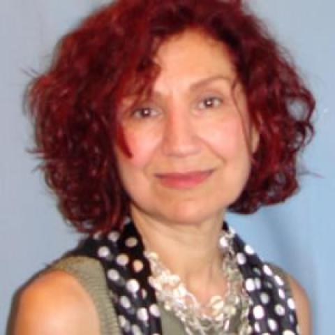 Profile headshot photo of Derayeh Derakhshesh.