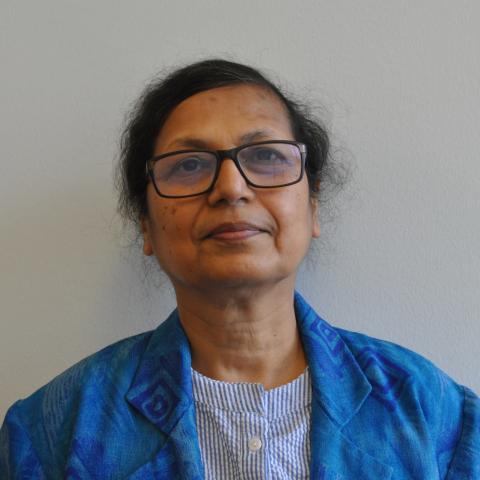 Profile headshot photo of Quazi Zebunnahar Ahmed, PHD.