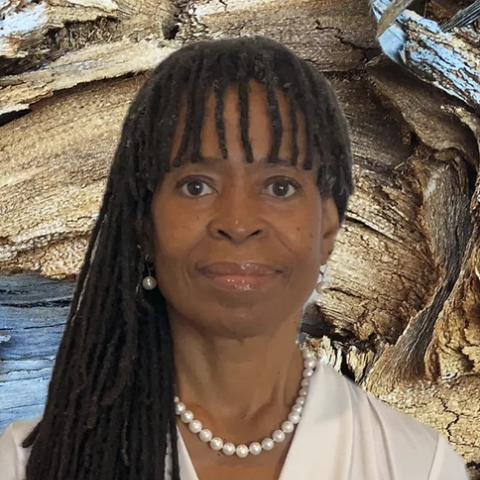 Profile headshot photo of Ofosuwa Abiola, Ph.D..