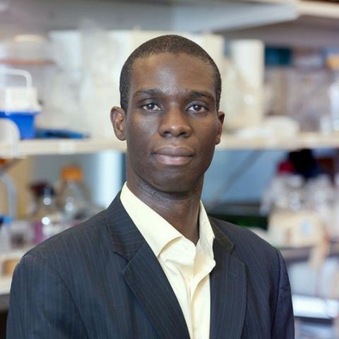 Profile headshot photo of Kofi Deh .
