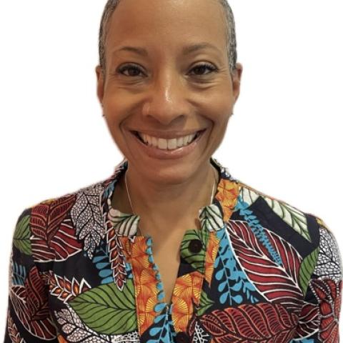 Profile headshot photo of Lauren H. Collins, MPT, DPT, WCS, CLT.