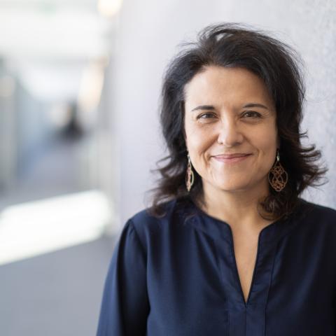 Profile headshot photo of Ana Lucia Araujo.