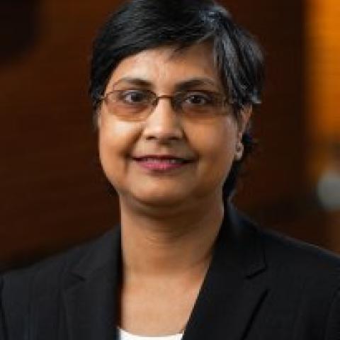Profile headshot photo of Mousumi Roy, PhD, PE.