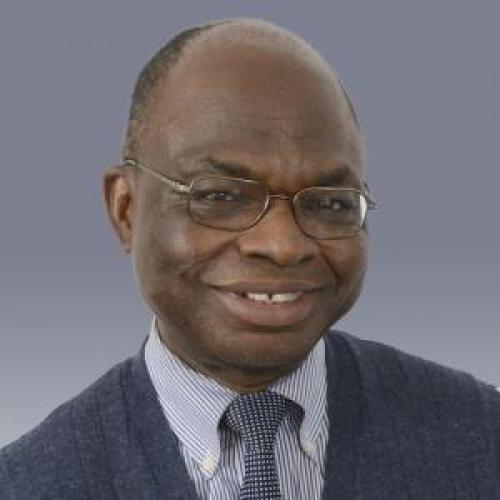 Headshot photo of Daniel Owunwanne, Ph.D. 