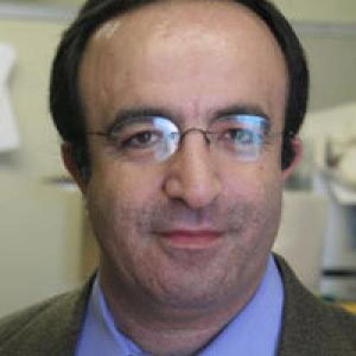 Headshot photo of Haydar Kurban