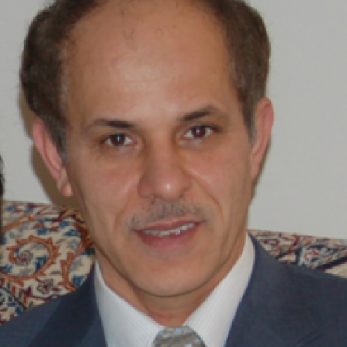 Headshot photo of Mohsen Mosleh