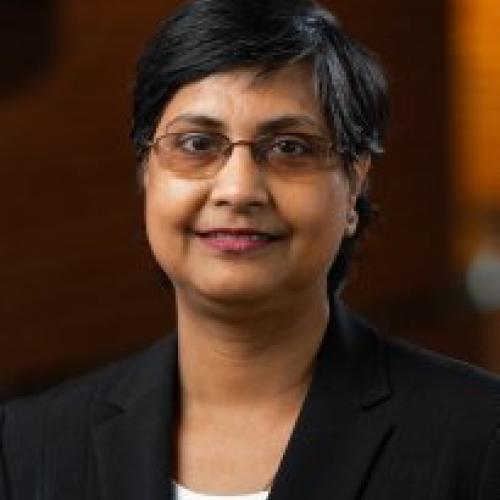 Headshot of Dr. Mousumi Roy